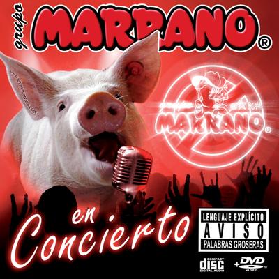 Grupo Marrano en concierto's cover