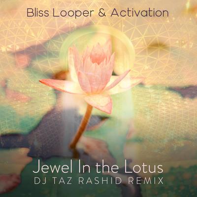 Jewel in the Lotus (DJ Taz Rashid Remix)'s cover