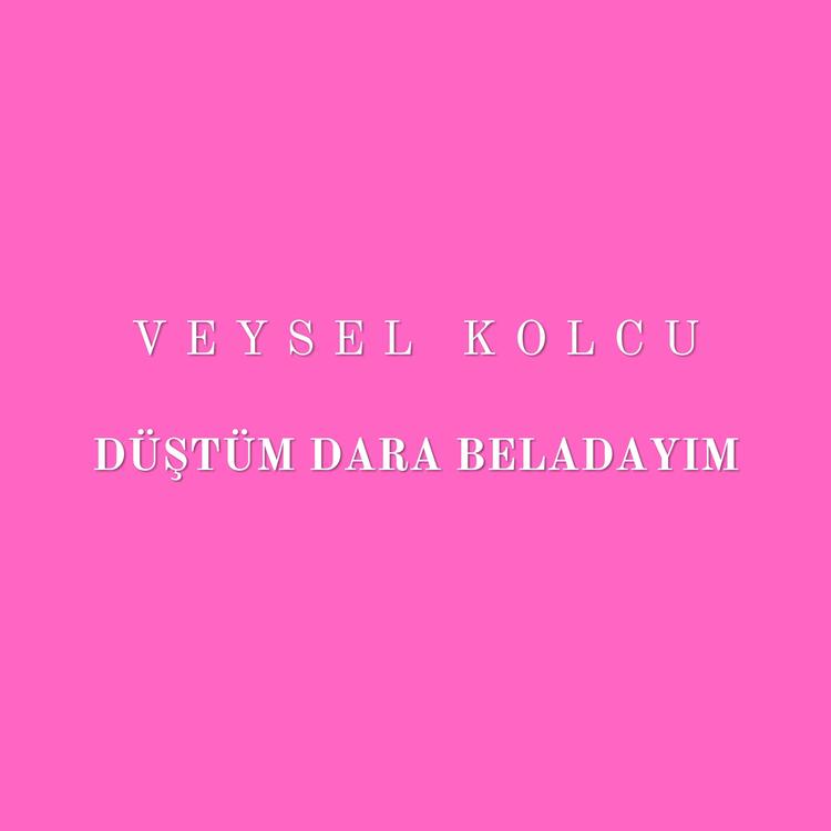 Veysel Kolcu's avatar image