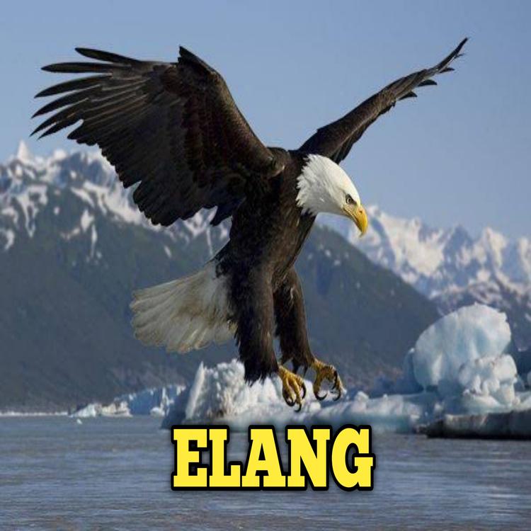 Elang's avatar image