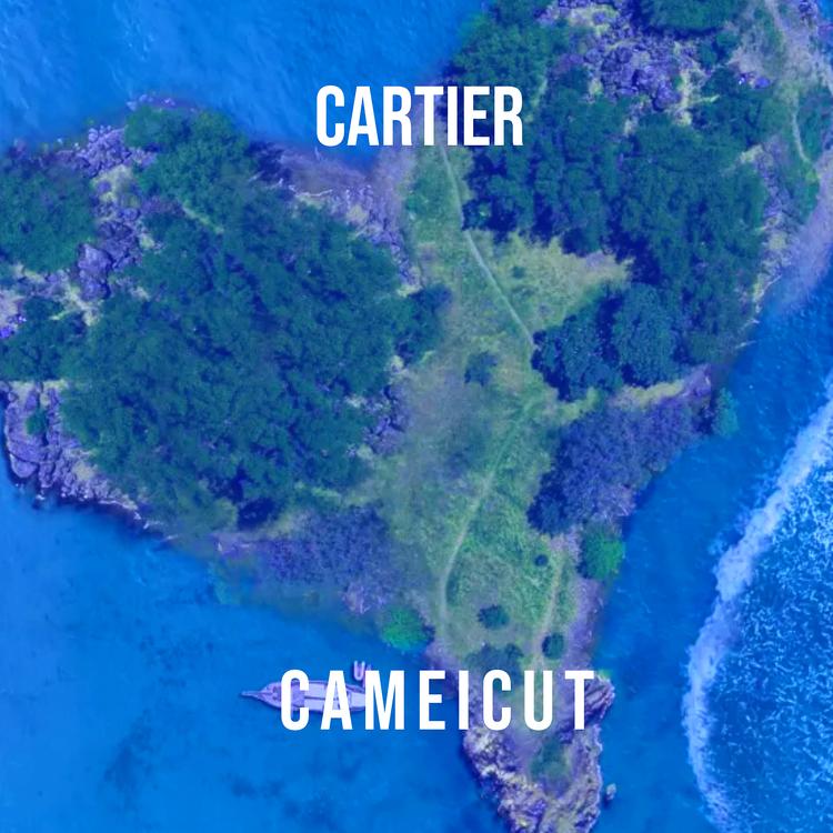 Cameicut's avatar image