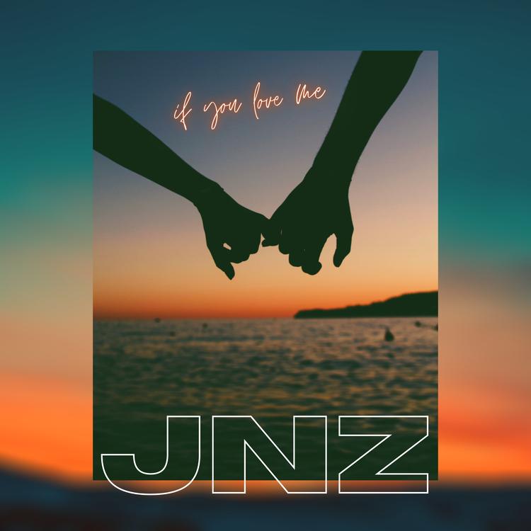 JNZ's avatar image