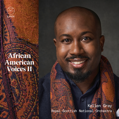 African American Voices II's cover