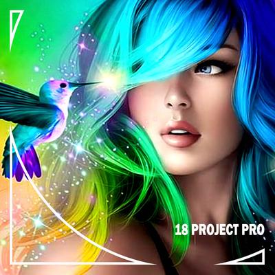 18 Project Pro's cover