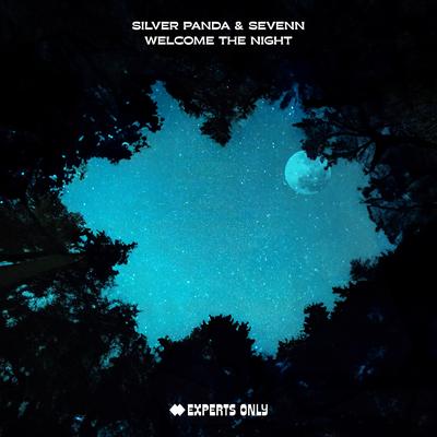 Welcome The Night By Silver Panda, Sevenn's cover