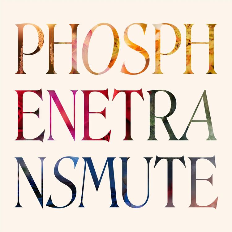 Phosphene's avatar image
