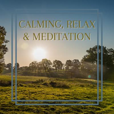 Música Para Relajarse Y Meditar By EX Music's cover