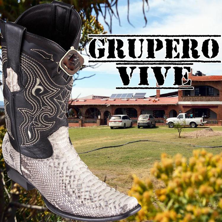 Grupero Vive's avatar image