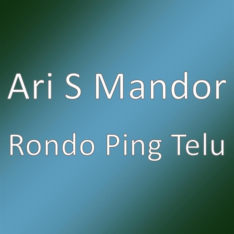 Ari S Mandor's avatar image