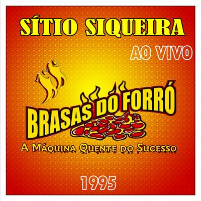 Ao Vivo no Sítio Siqueira - 1995's cover