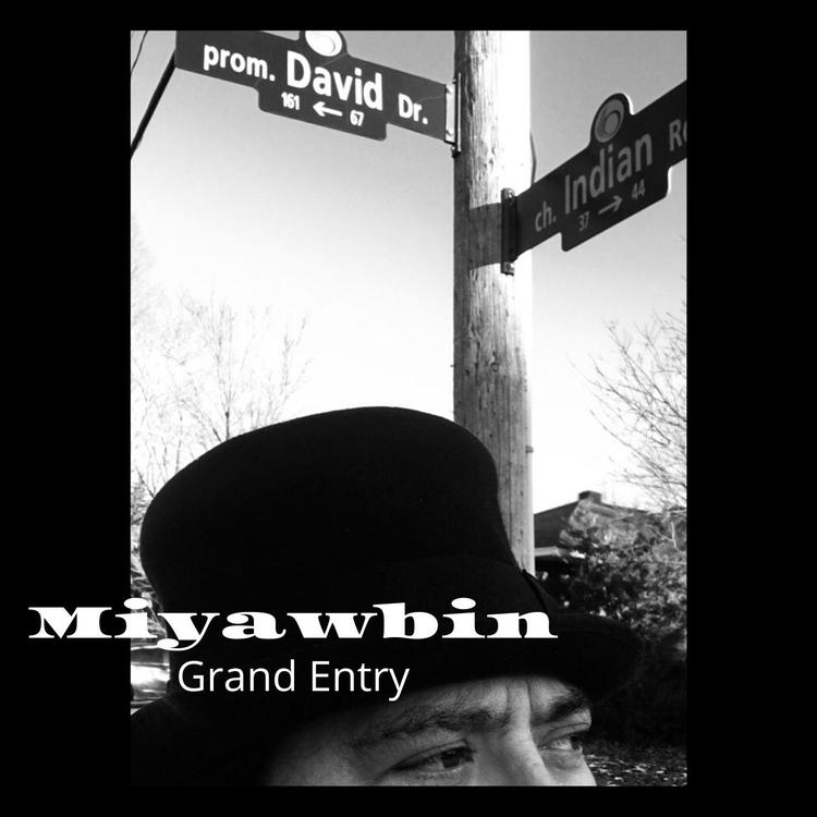 Miyawbin's avatar image