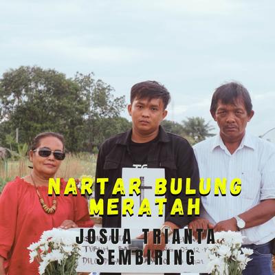 JOSUA TRIANTA SEMBIRING's cover