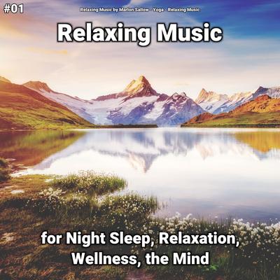 #01 Relaxing Music for Night Sleep, Relaxation, Wellness, the Mind's cover