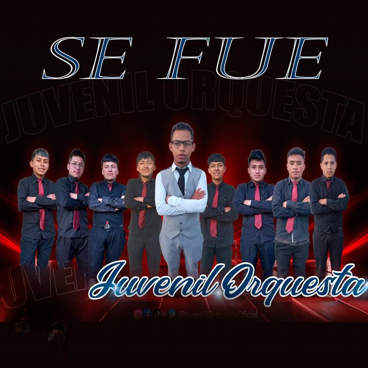 Juvenil Orquesta's avatar image