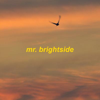 mr. brightside - slowed + reverb's cover