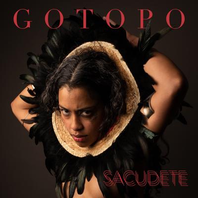 Sacúdete By Gotopo, Don Elektron's cover