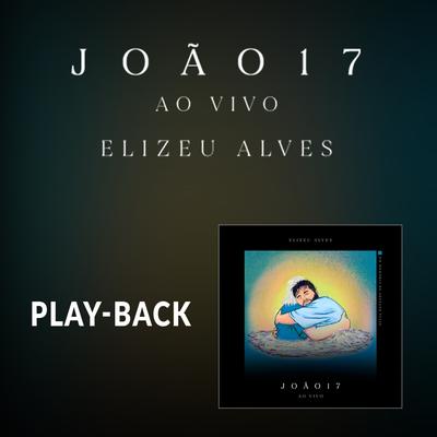 João 17 (Ao Vivo) (Playback)'s cover