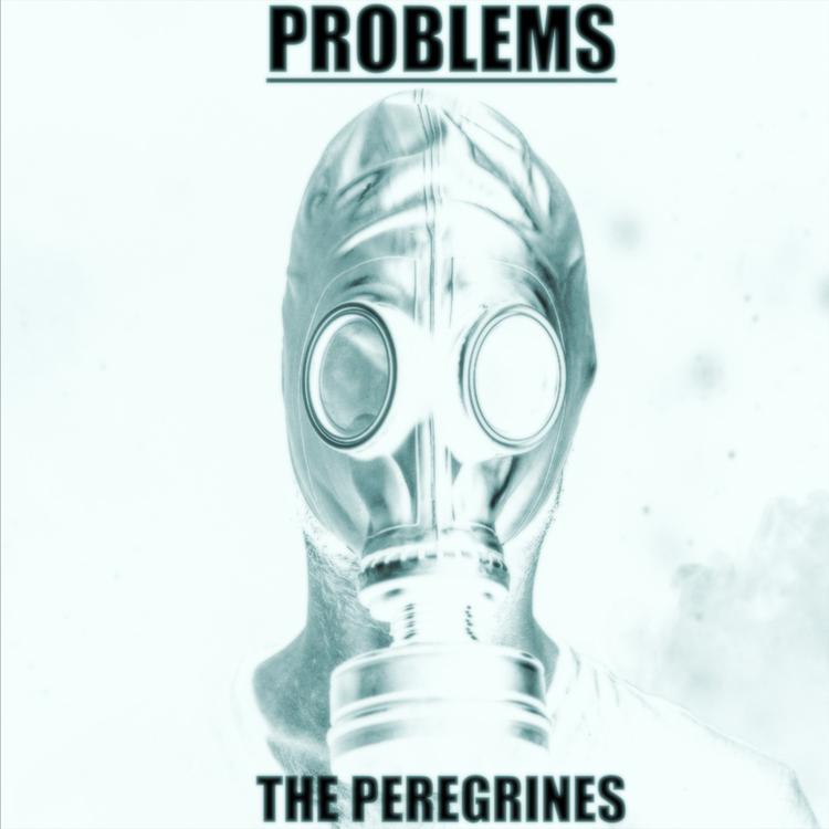 The Peregrines's avatar image