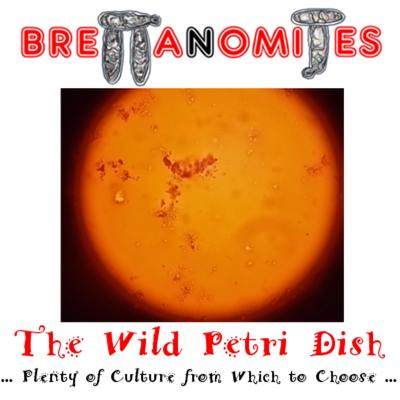 Downtown Funk By Brettanomites's cover