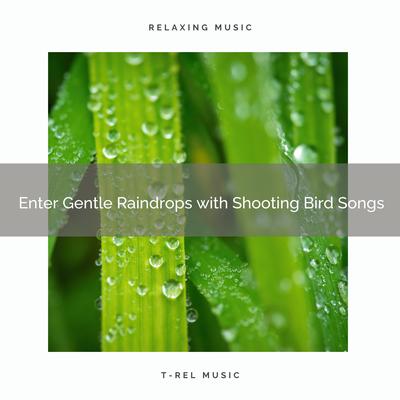 ! ! ! ! ! ! ! ! ! ! Enter Gentle Raindrops with Shooting Bird Songs's cover