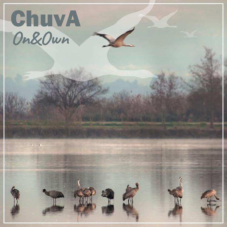Chuva's avatar image