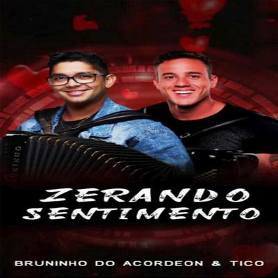 Zerando Sentimento (feat. Forró do Tico)'s cover