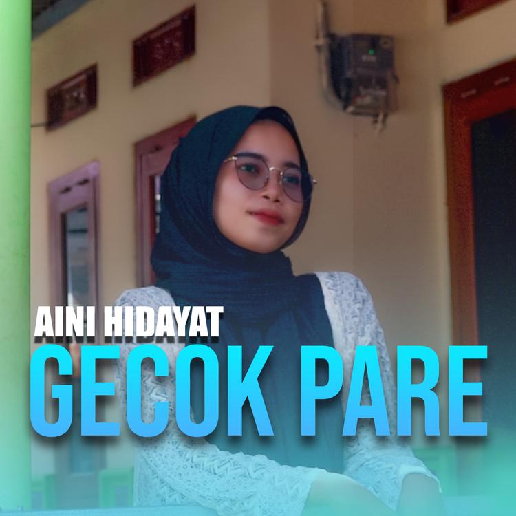 Aini Hidayat's avatar image