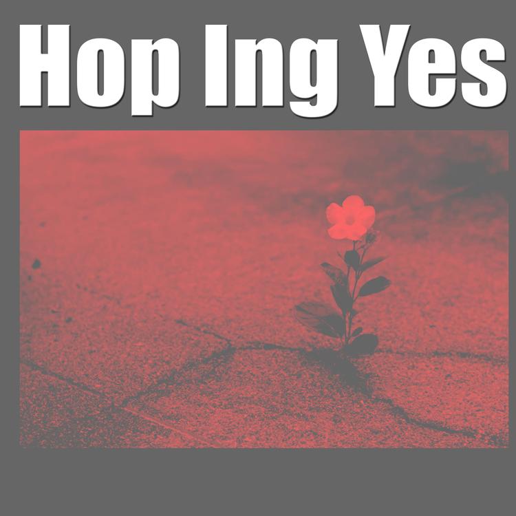 Hop Ing Yes's avatar image