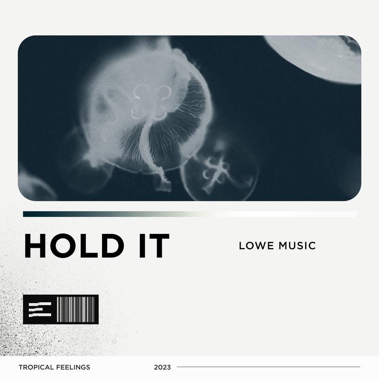 LOWE MUSIC's avatar image