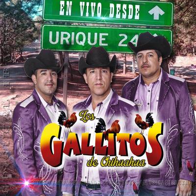 En Vivo Desde Urique, Chihuahua's cover