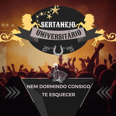 Nem Dormindo Consigo Te Esquecer By Sertanejo Universitário's cover