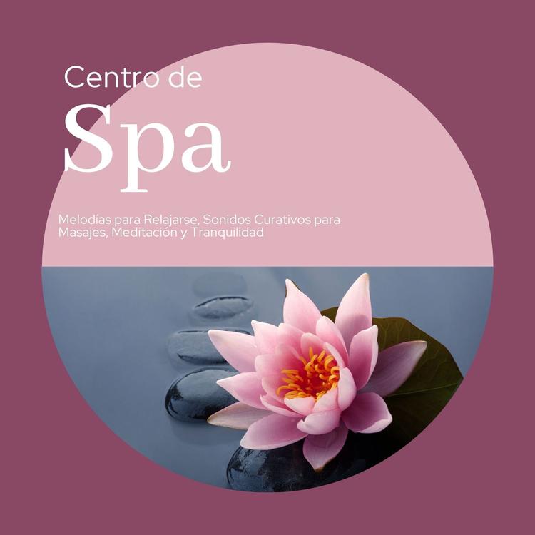 Meditation Spa's avatar image