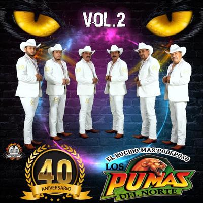 40 Aniversario, Vol. 2's cover