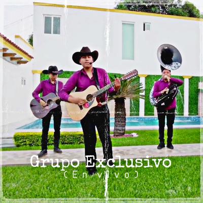 El Parcero (En Vivo)'s cover