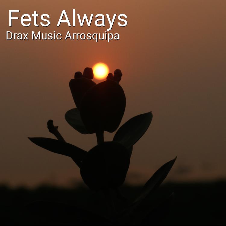 Drax Music Arrosquipa's avatar image