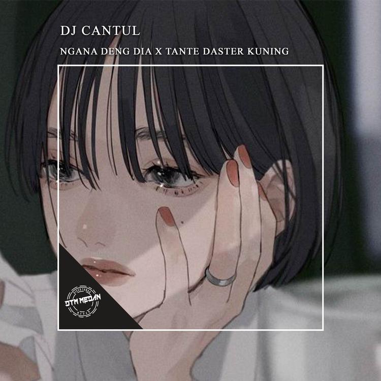 DJ CANTUL's avatar image