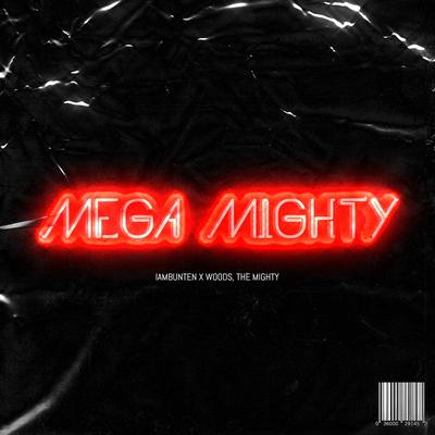 MEGA MIGHTY's cover