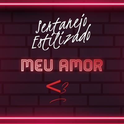 Meu Amor By Sertanejo Estilizado's cover