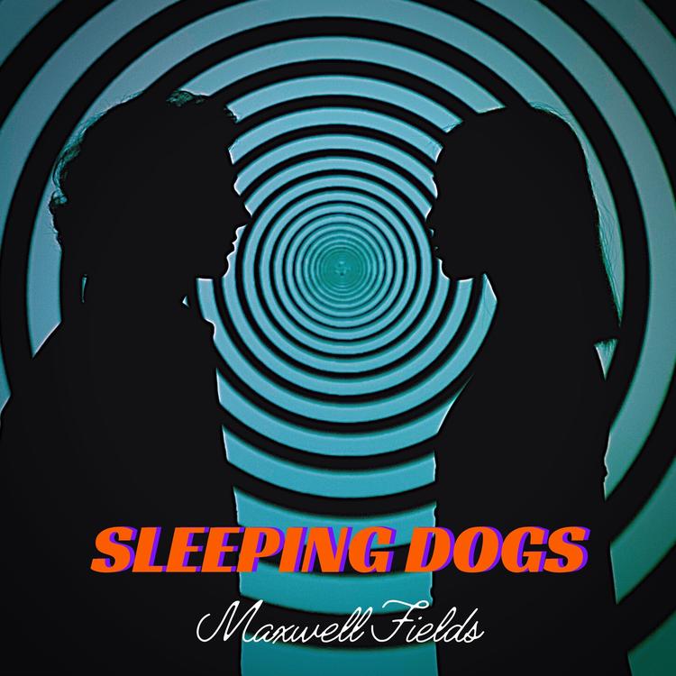 Sleeping Dog Brothers's avatar image