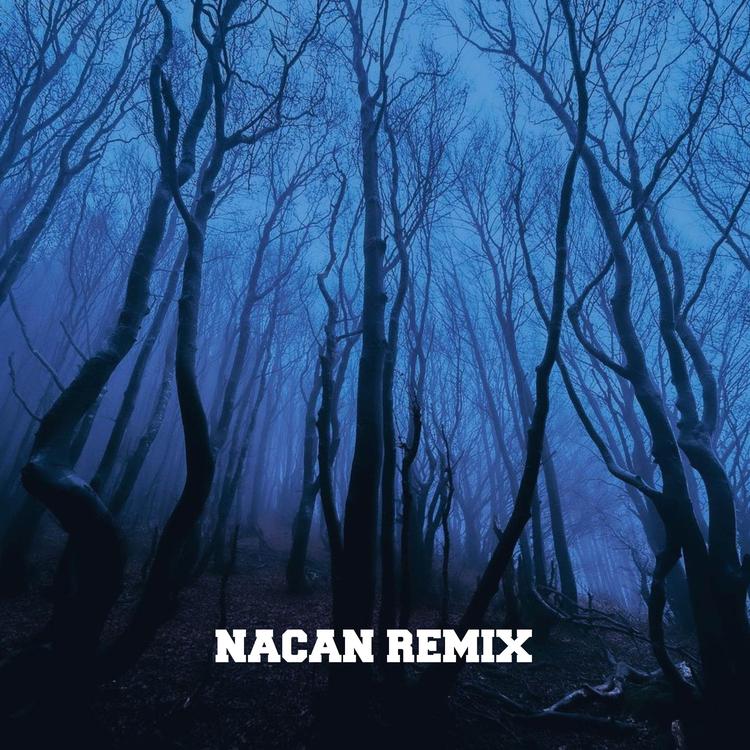 NACAN REMIX's avatar image