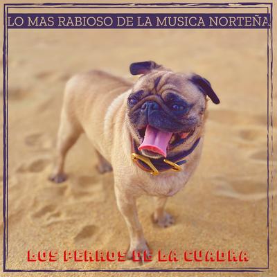 los perros de la cuadra's cover