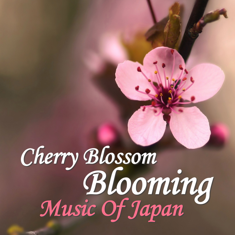 Tokyo Music Ensemble's avatar image