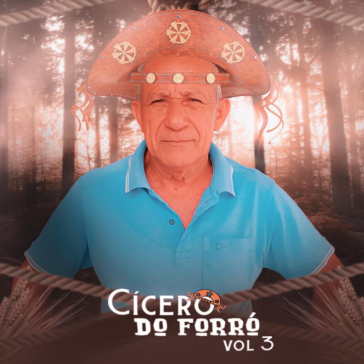 Cícero do forró's avatar image