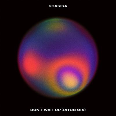 Don't Wait Up (Riton Mix) By Shakira's cover