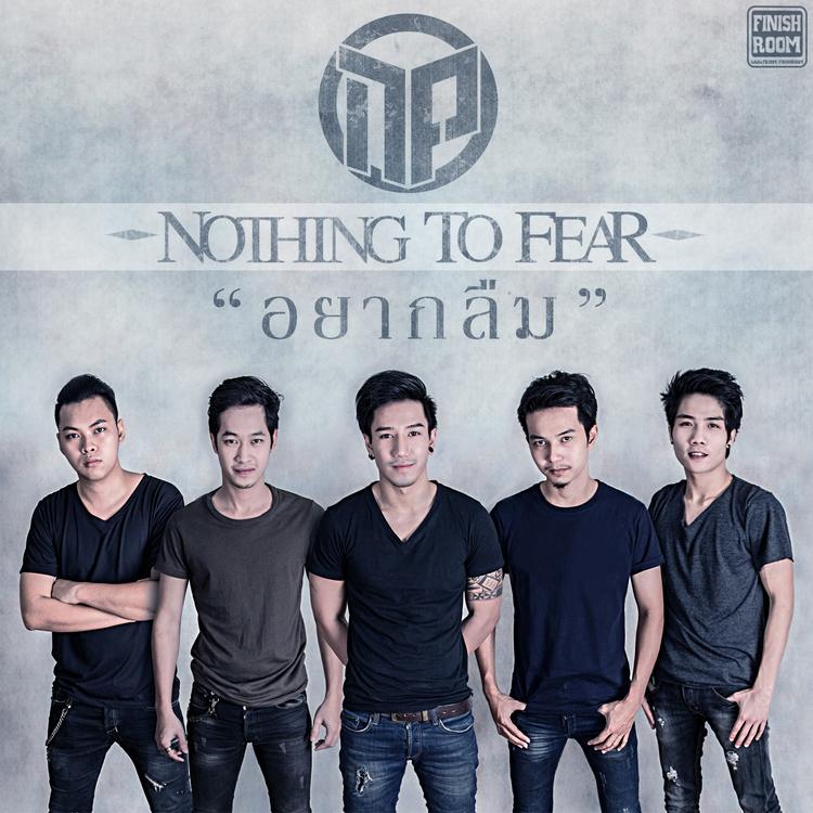 Nothing to Fear's avatar image