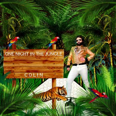 One Night In The Jungle's cover