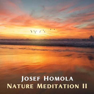 Nature Meditation II's cover