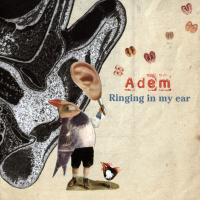 Ringing In My Ear By Adem's cover