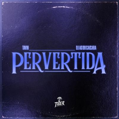 Pervertida By Tavin, Dj Ag Do Caiçara's cover