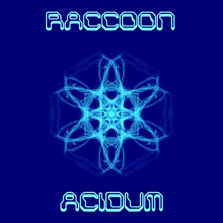 Raccoon's avatar image